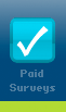 Paid Surveys